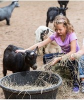 Sweetwater County Fair
