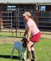 Washakie County Fair