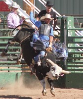 Hot Springs County Fair