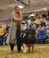 Hot Springs County Fair