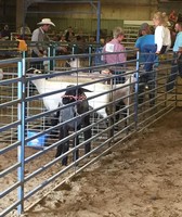 Hot Springs County Fair