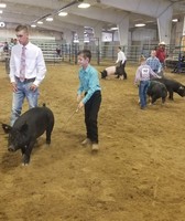 Hot Springs County Fair