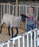 Norman County Fair