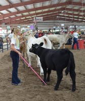 Antelope County Fair