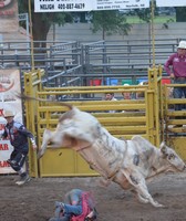 Antelope County Fair