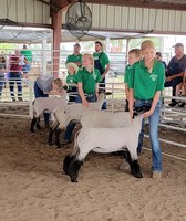 Butler County Fair