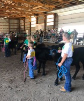 Chase County Fair & Expo