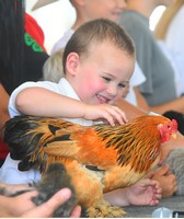 Dakota Thurston County Fair