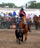 Dawson County Fair