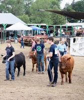 Dixon County Fair