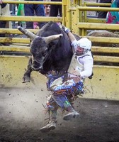 Merrick County Fair