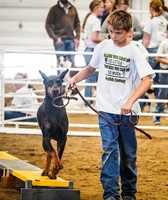 Merrick County Fair