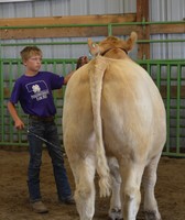 Perkins County Fair