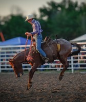 Perkins County Fair