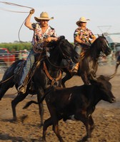 Phelps County Fair