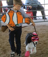 Phelps County Fair