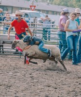 Platte County Fair