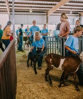 Platte County Fair