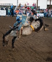 Sarpy County Fair