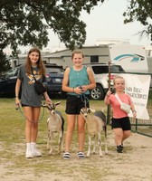 Douglas County Fair