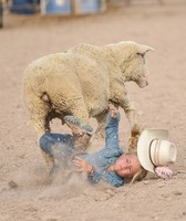 Lincoln County Fair & Rodeo