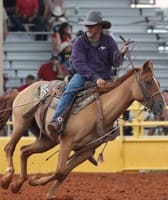 Lea County Fair