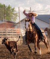 Wadena County Fair