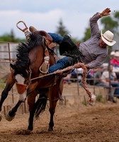Wadena County Fair