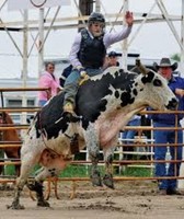 Allegany County Fair