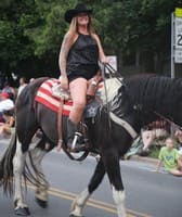 Lewis County Fair