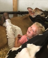 McLeod County Fair