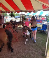 Cumberland County Fair