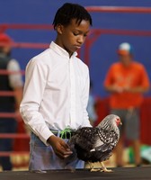 Cumberland County Fair