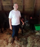 Wilkin County Fair