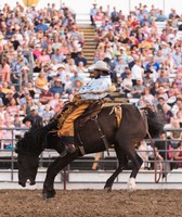 Brown County Fair