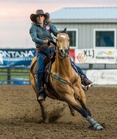 Roughrider Days Fair & Expo