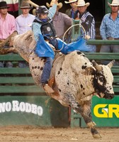 Wells County Fair