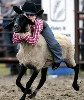 Wells County Fair
