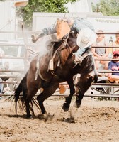 Mercer County Fair