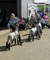 Mercer County Fair