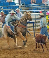 Bowman County Fair