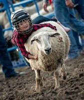 Bowman County Fair