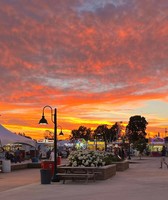 Pickaway County Fair