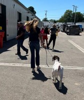 Pickaway County Fair