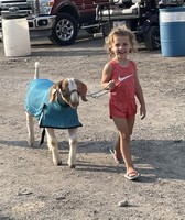 Putnam County Fair