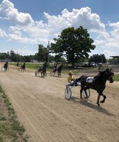 Marion County Fair