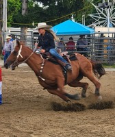 Marion County Fair