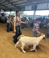 Lawrence County Fair