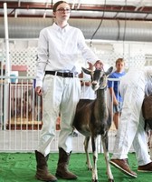 Montgomery County Fair