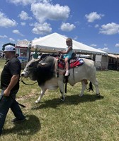 Trumbull County Fair